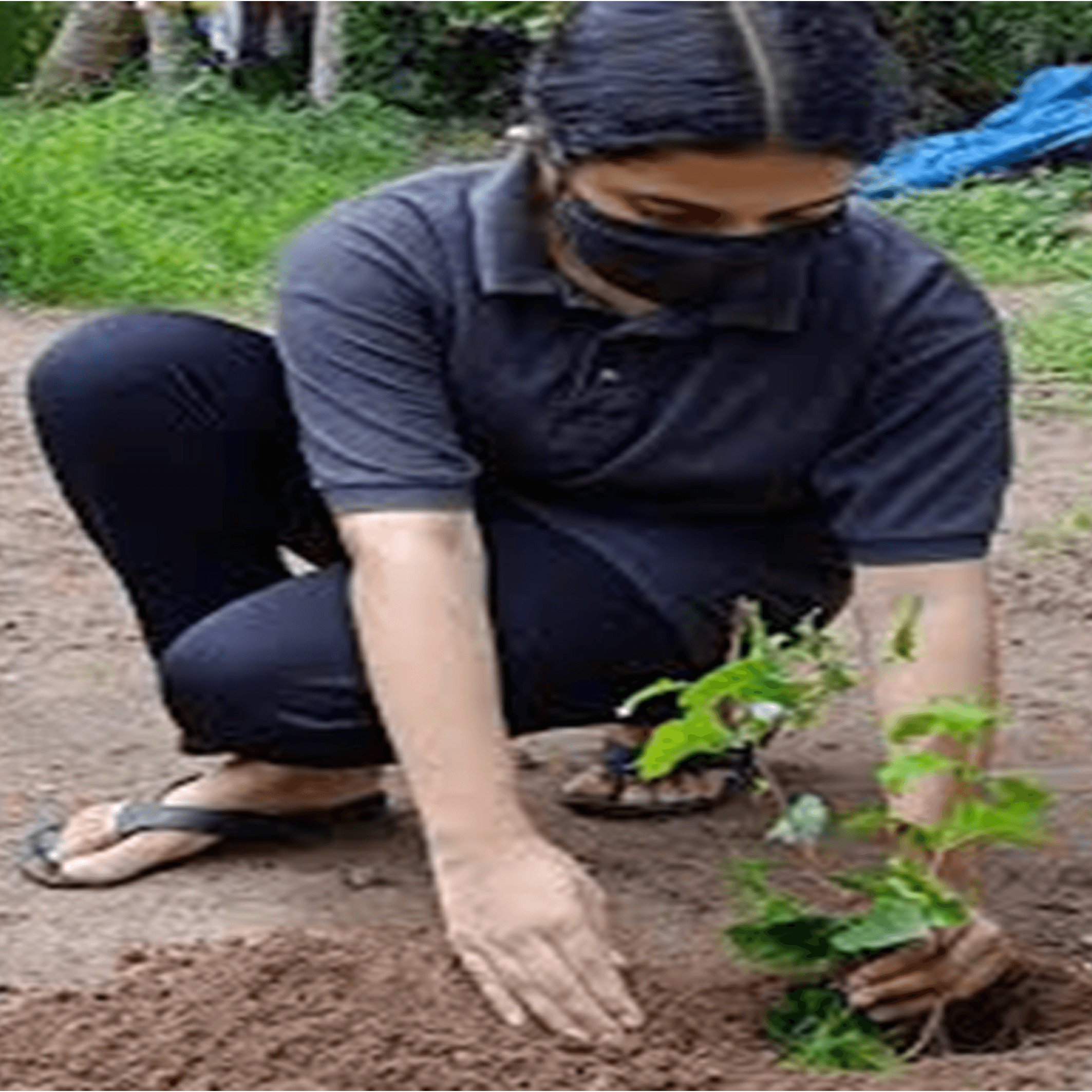 Green Initiatives and Community Support